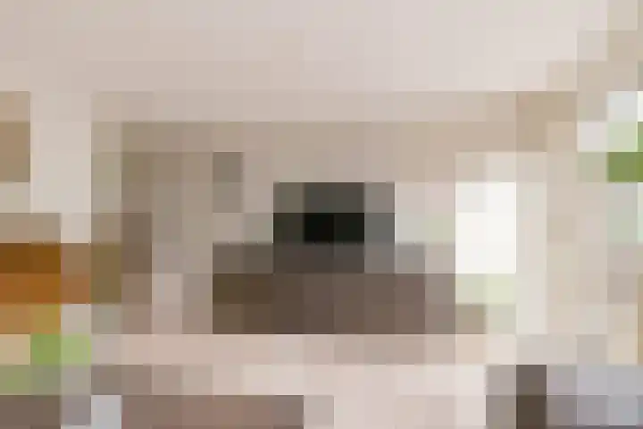 Beigepad 4 Almere thumbnail 12