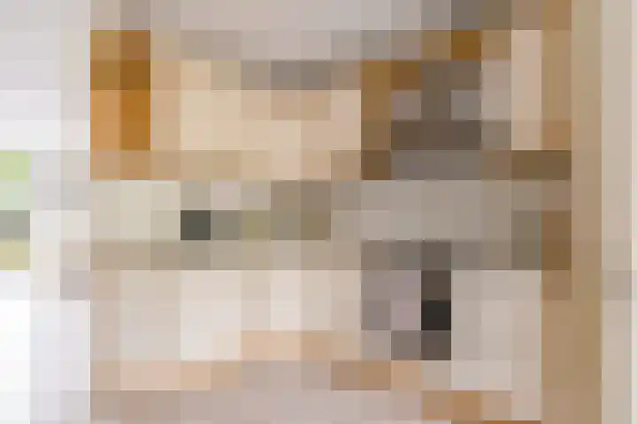 Beigepad 4 Almere thumbnail 15