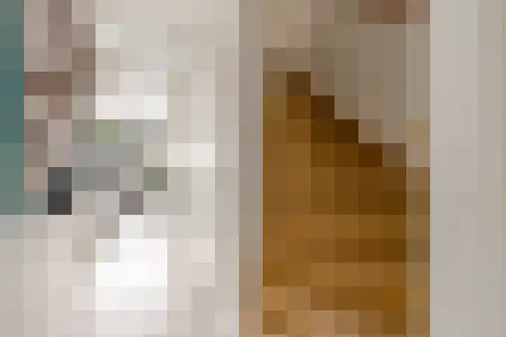Beigepad 4 Almere thumbnail 22