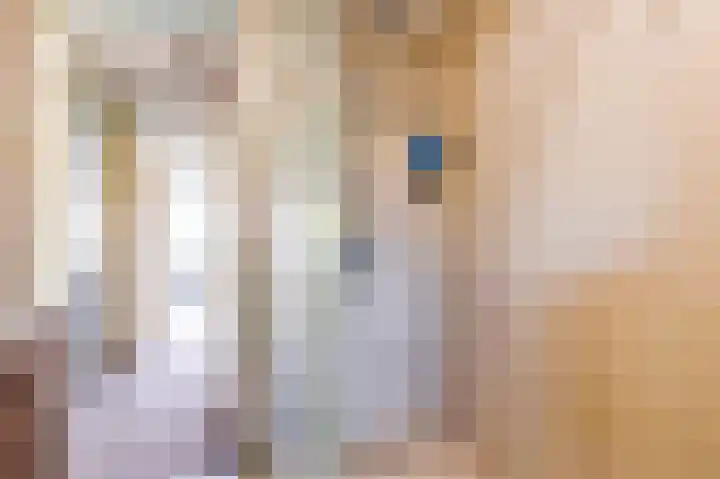 Beigepad 4 Almere thumbnail 29