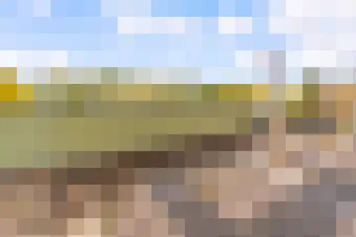 Beigepad 4 Almere thumbnail 40