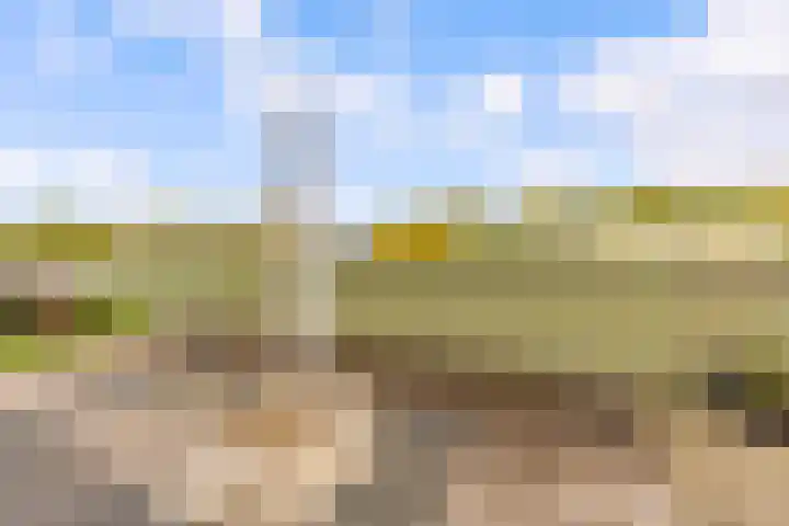 Beigepad 4 Almere thumbnail 41