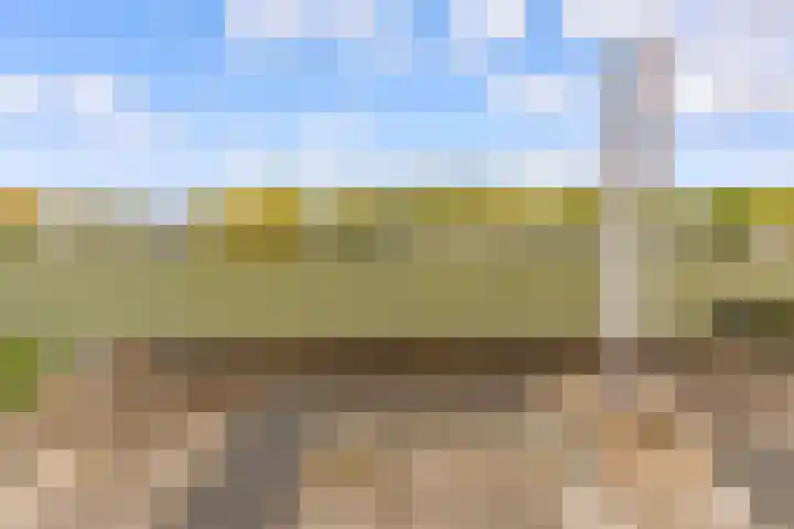 Beigepad 4 Almere thumbnail 42