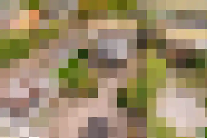 Beigepad 4 Almere thumbnail 43