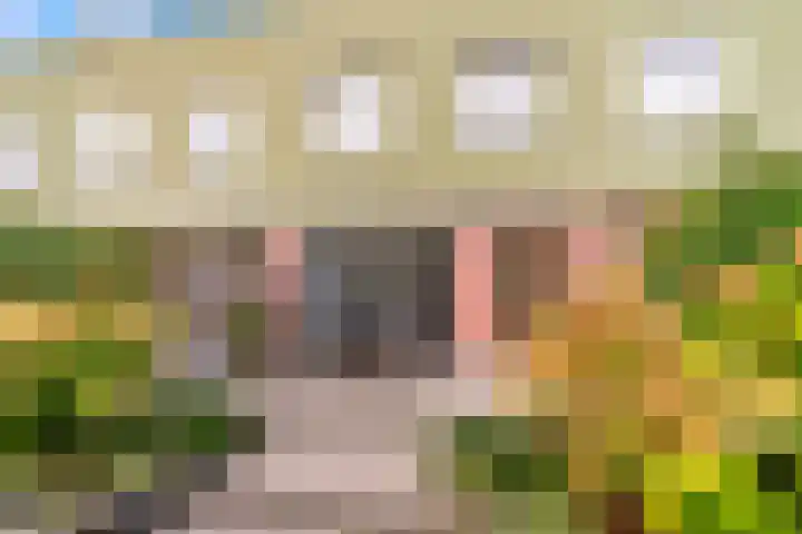 Beigepad 4 Almere thumbnail 45