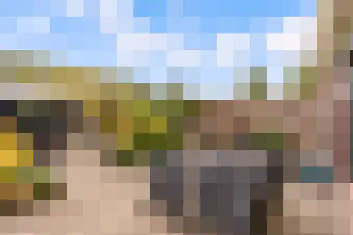 Beigepad 4 Almere thumbnail 46