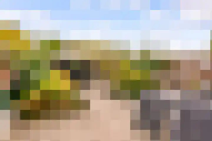 Beigepad 4 Almere thumbnail 47