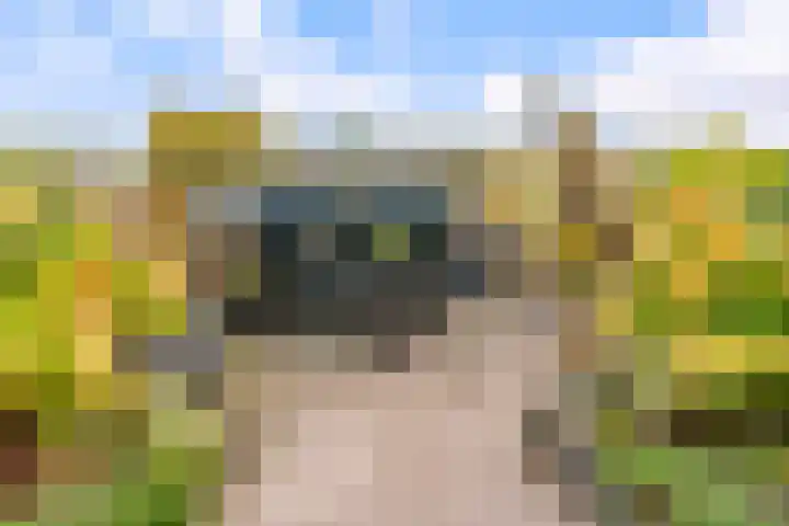 Beigepad 4 Almere thumbnail 49
