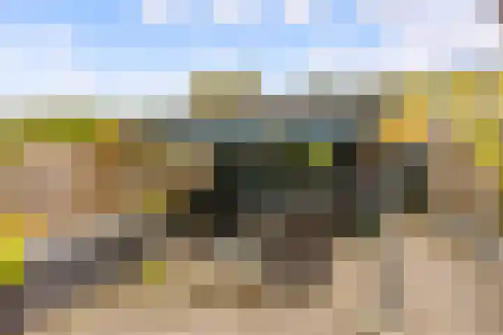 Beigepad 4 Almere thumbnail 51
