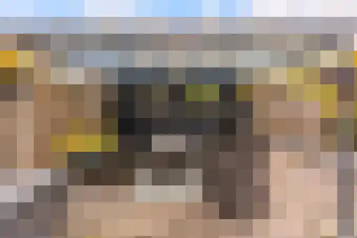 Beigepad 4 Almere thumbnail 53