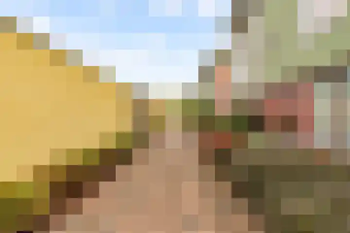 Beigepad 4 Almere thumbnail 57