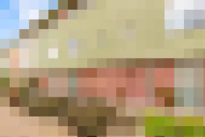 Beigepad 4 Almere thumbnail 59