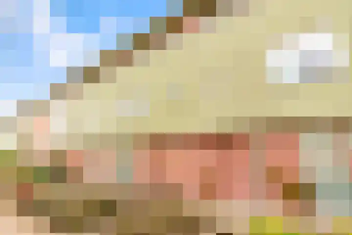 Beigepad 4 Almere thumbnail 62