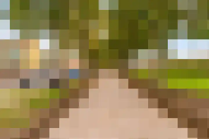 Beigepad 4 Almere thumbnail 63