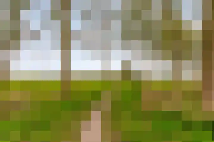 Beigepad 4 Almere thumbnail 64