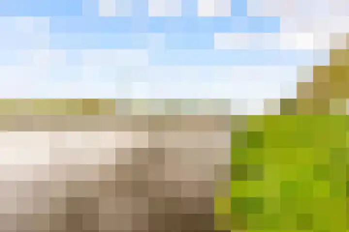 Beigepad 4 Almere thumbnail 65