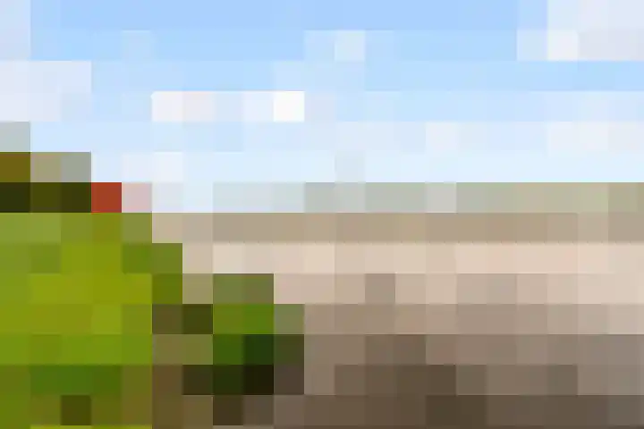 Beigepad 4 Almere thumbnail 66