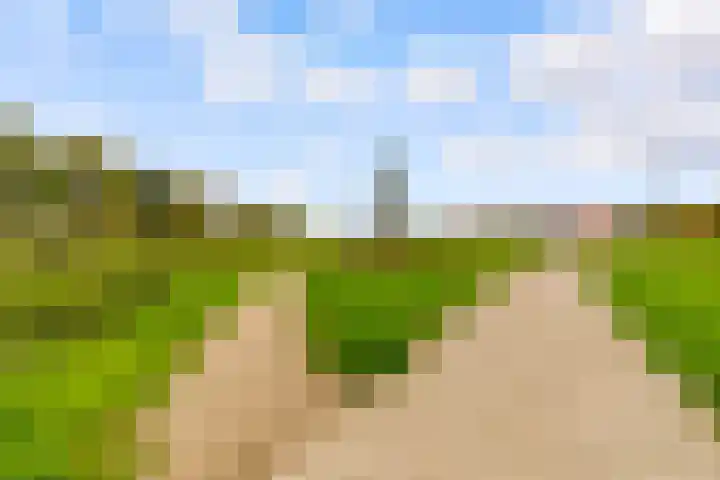 Beigepad 4 Almere thumbnail 67