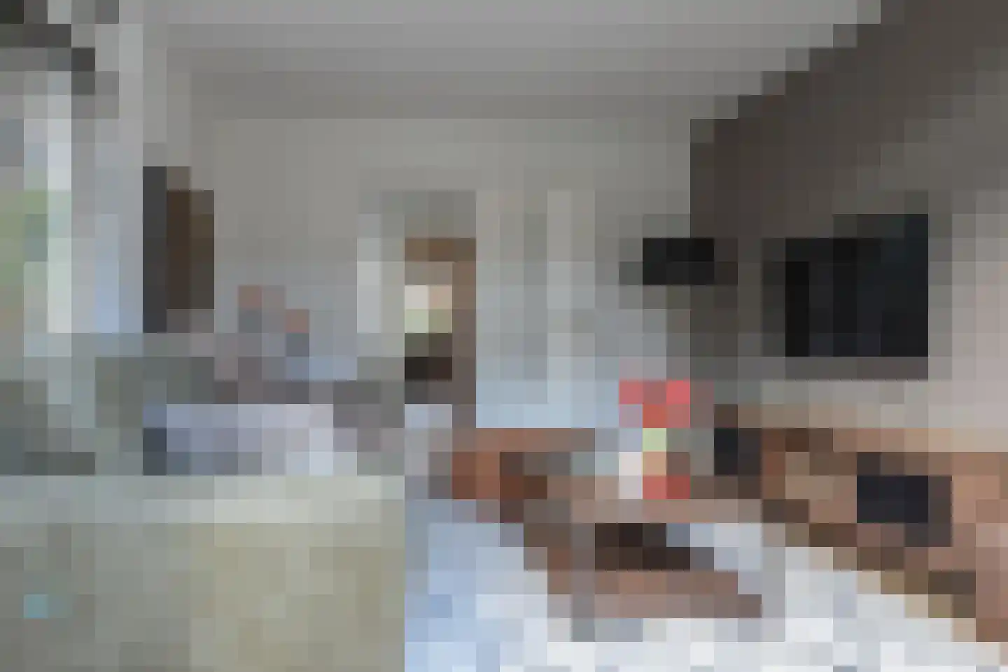Beijemansweg 12 Laren thumbnail 5