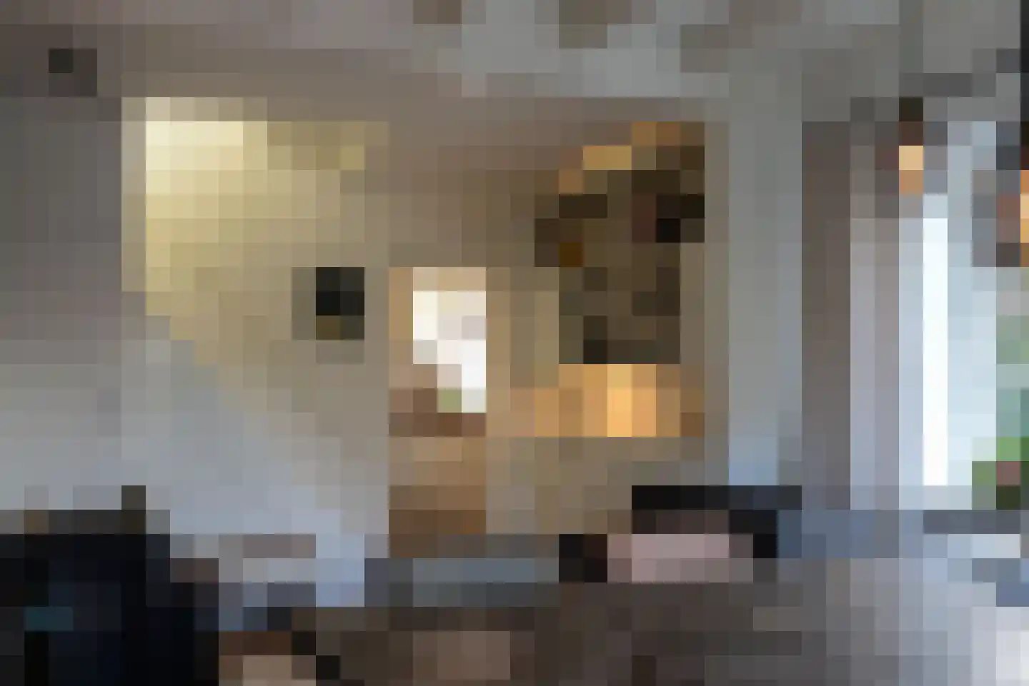 Beijemansweg 12 Laren thumbnail 8