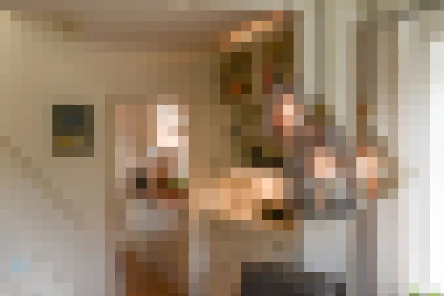 Beijemansweg 12 Laren thumbnail 9