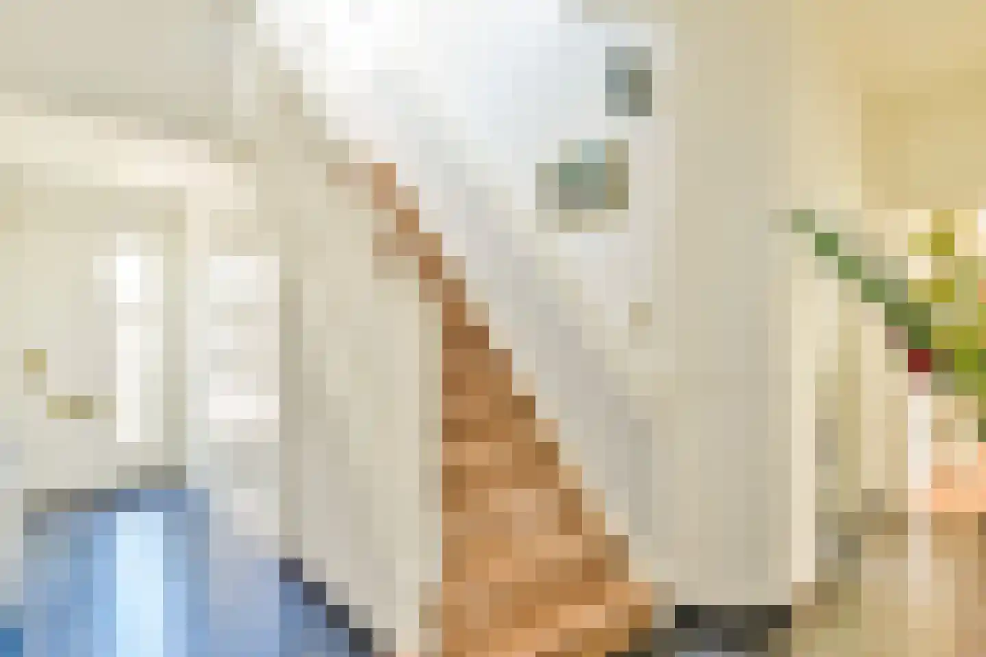Beijemansweg 2 Laren thumbnail 12
