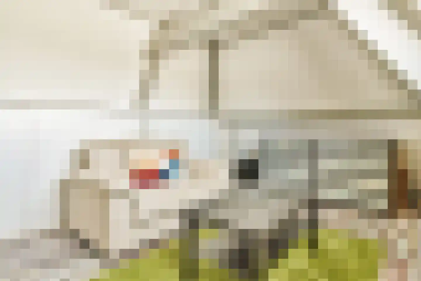 Beijemansweg 2 Laren thumbnail 27