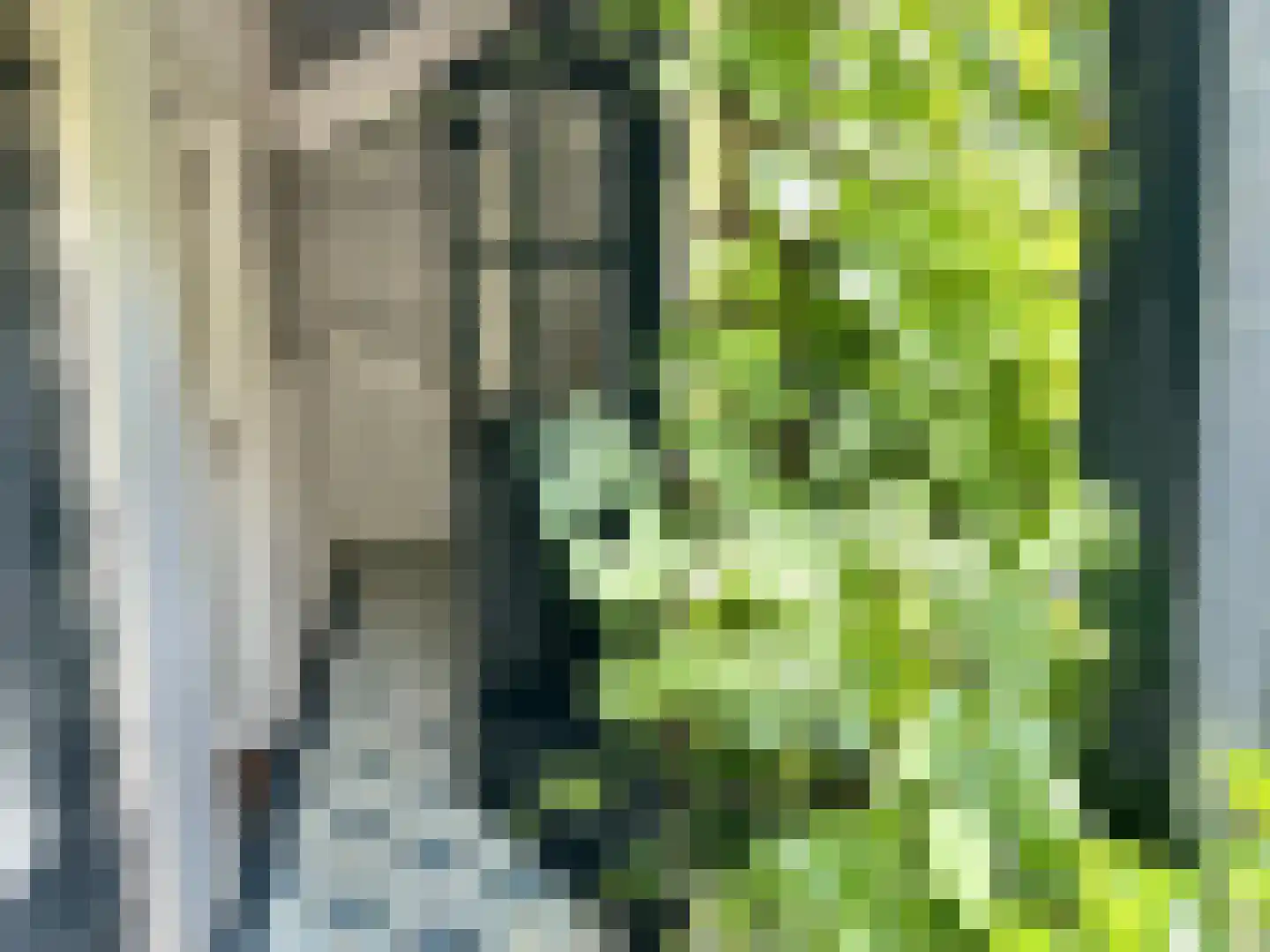 Beijemansweg 28 Laren thumbnail 26