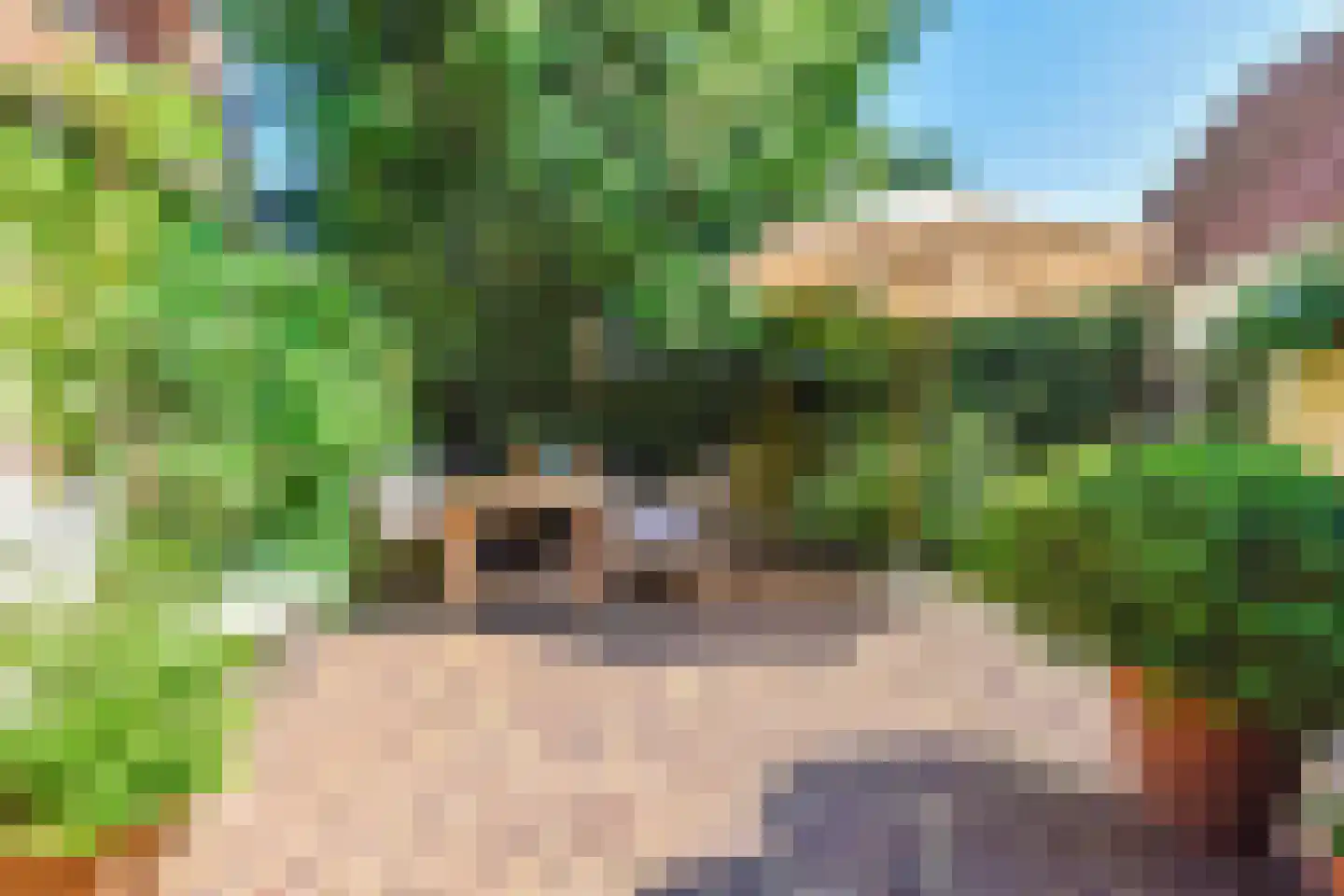 Beijemansweg 28 Laren thumbnail 8