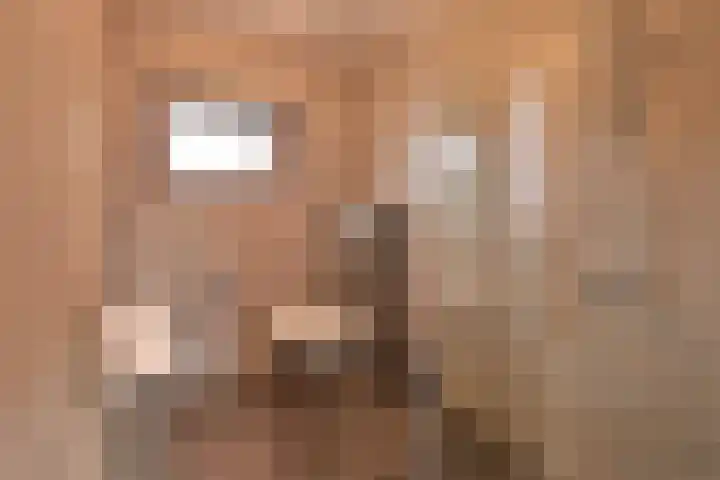Beijemansweg 6 Laren thumbnail 12