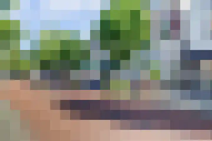 Beijensstraat 1 Nijmegen thumbnail 34