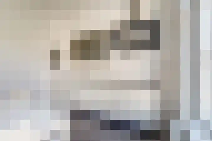 Beijensstraat 1 Nijmegen thumbnail 5