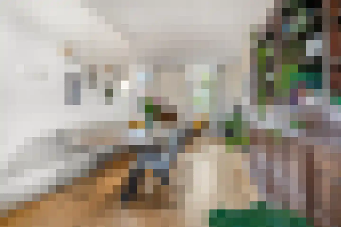 Beijensstraat 18 Nijmegen thumbnail 7