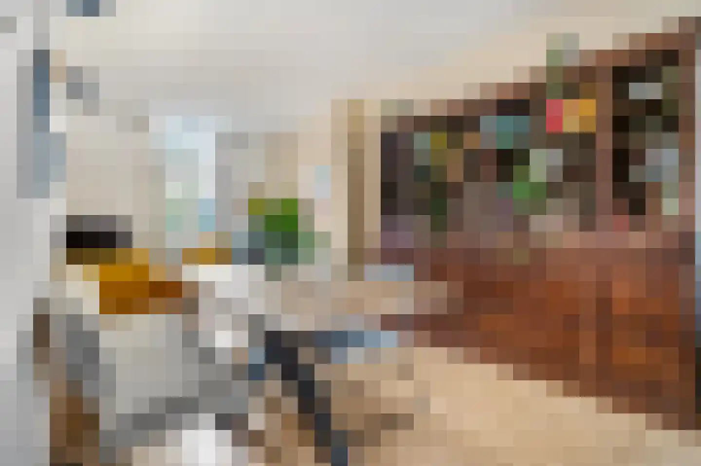 Beijensstraat 18 Nijmegen thumbnail 8