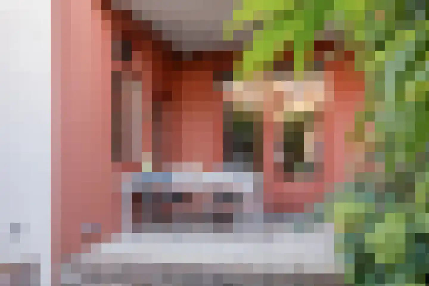 Beijensstraat 68 Nijmegen thumbnail 21