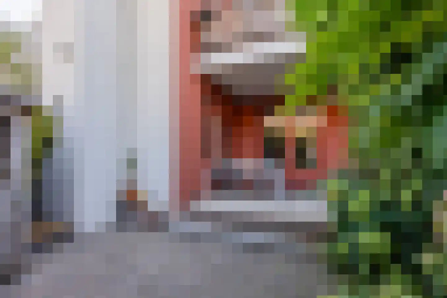 Beijensstraat 68 Nijmegen thumbnail 22