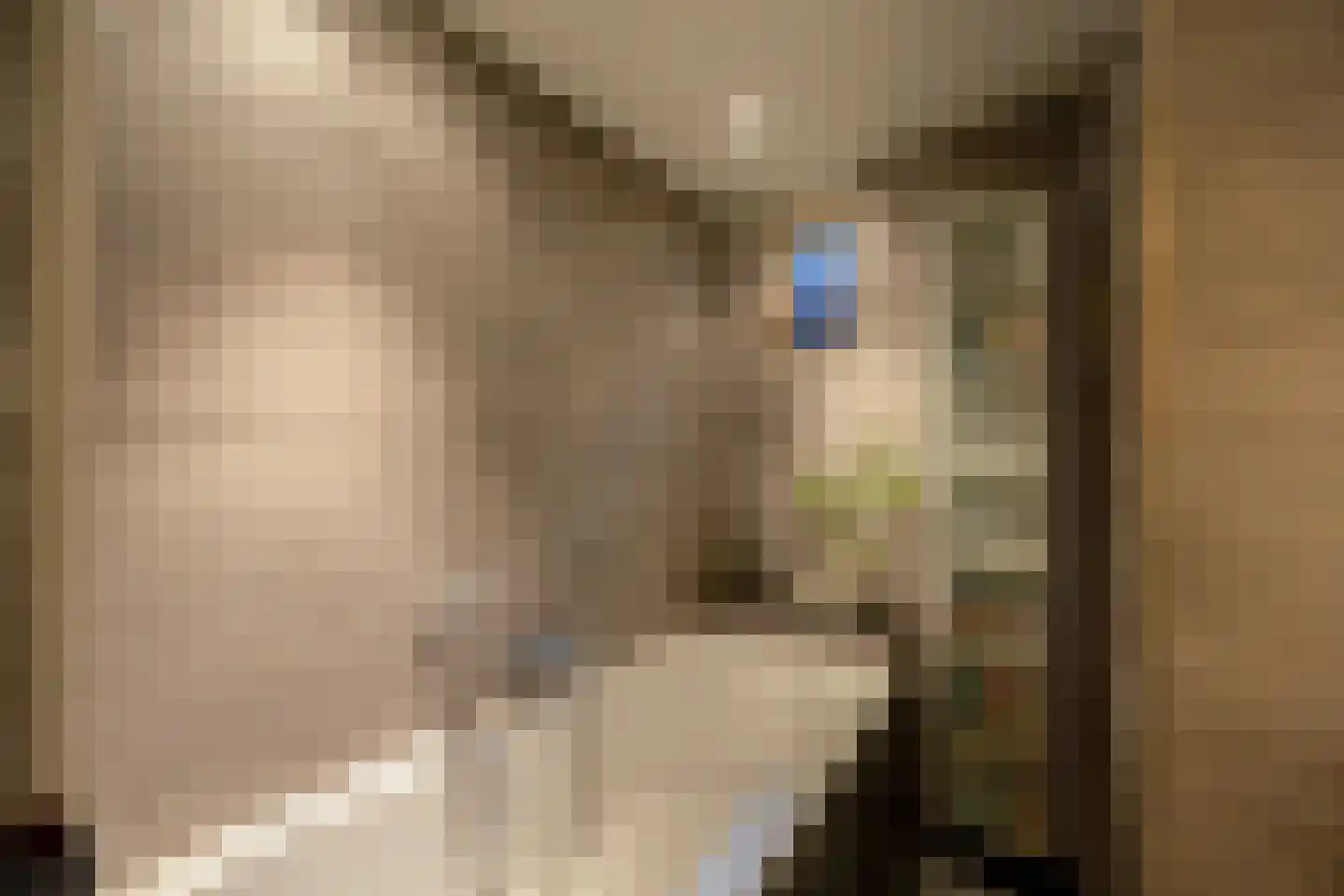 Beijensstraat 68 Nijmegen thumbnail 33