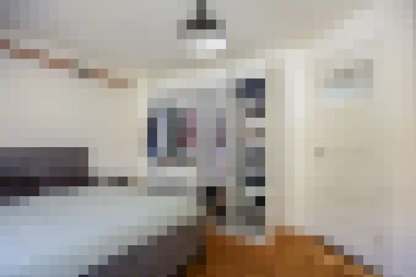 Beijensstraat 80 Nijmegen thumbnail 32