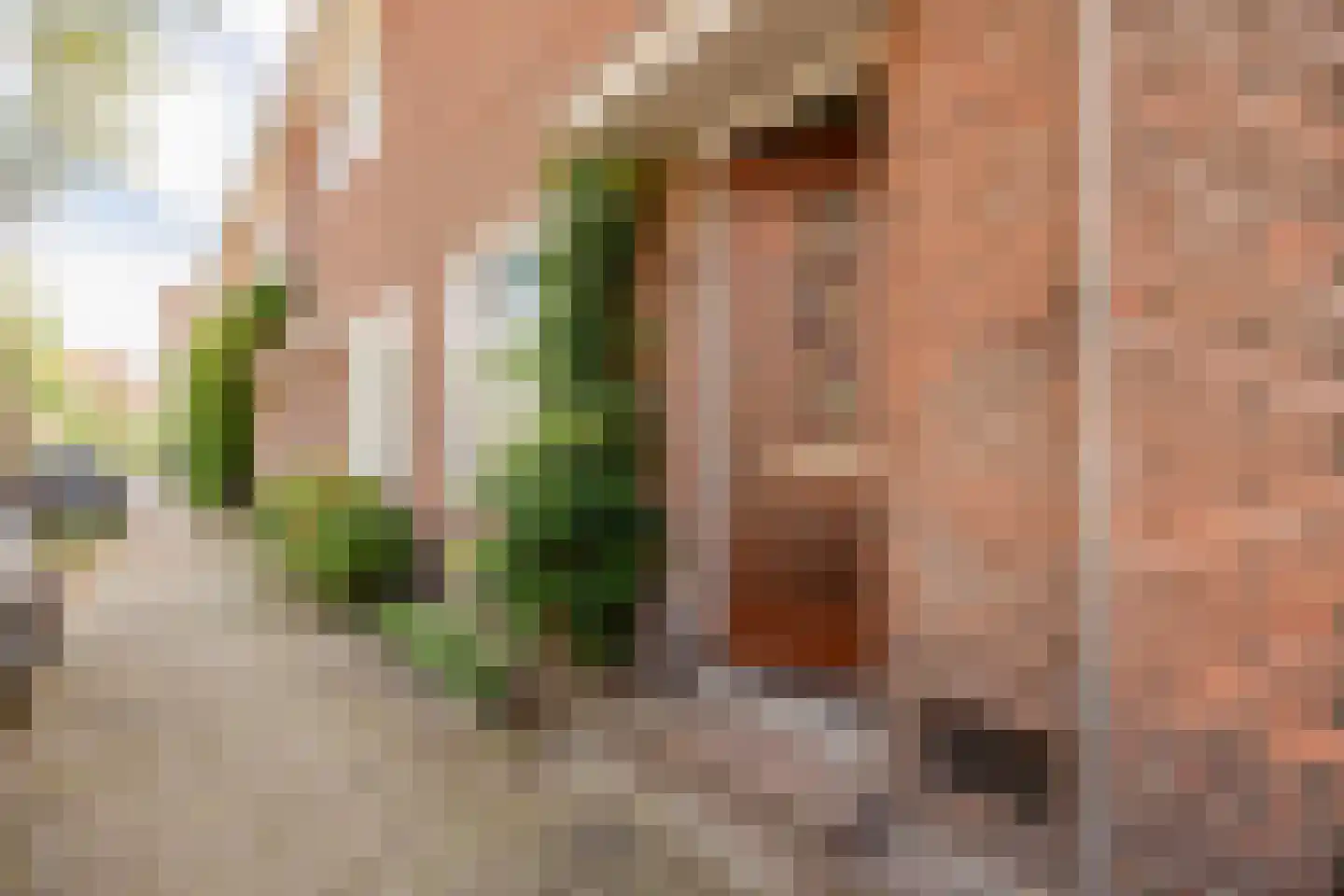 Beijensstraat 80 Nijmegen thumbnail 42