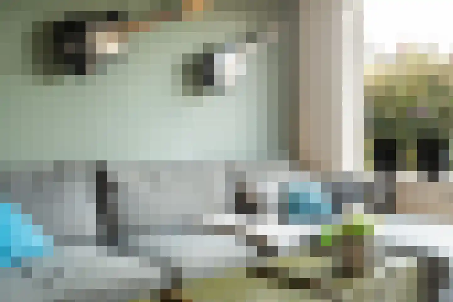Beijerenstraat 2 Reeuwijk thumbnail 15