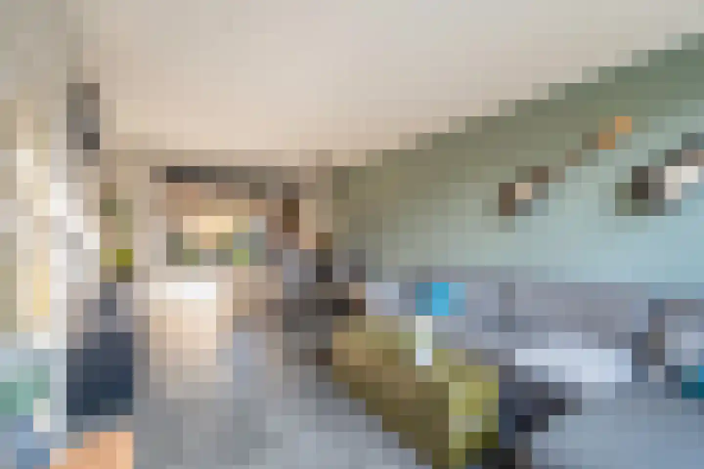Beijerenstraat 2 Reeuwijk thumbnail 17