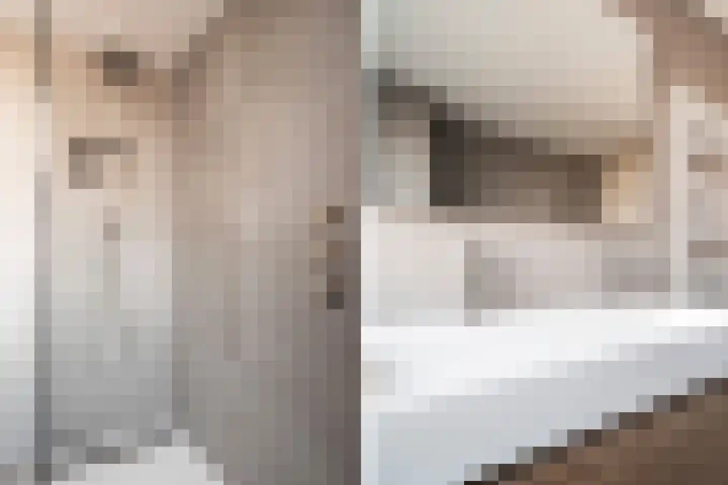 Beijerenstraat 2 Reeuwijk thumbnail 36