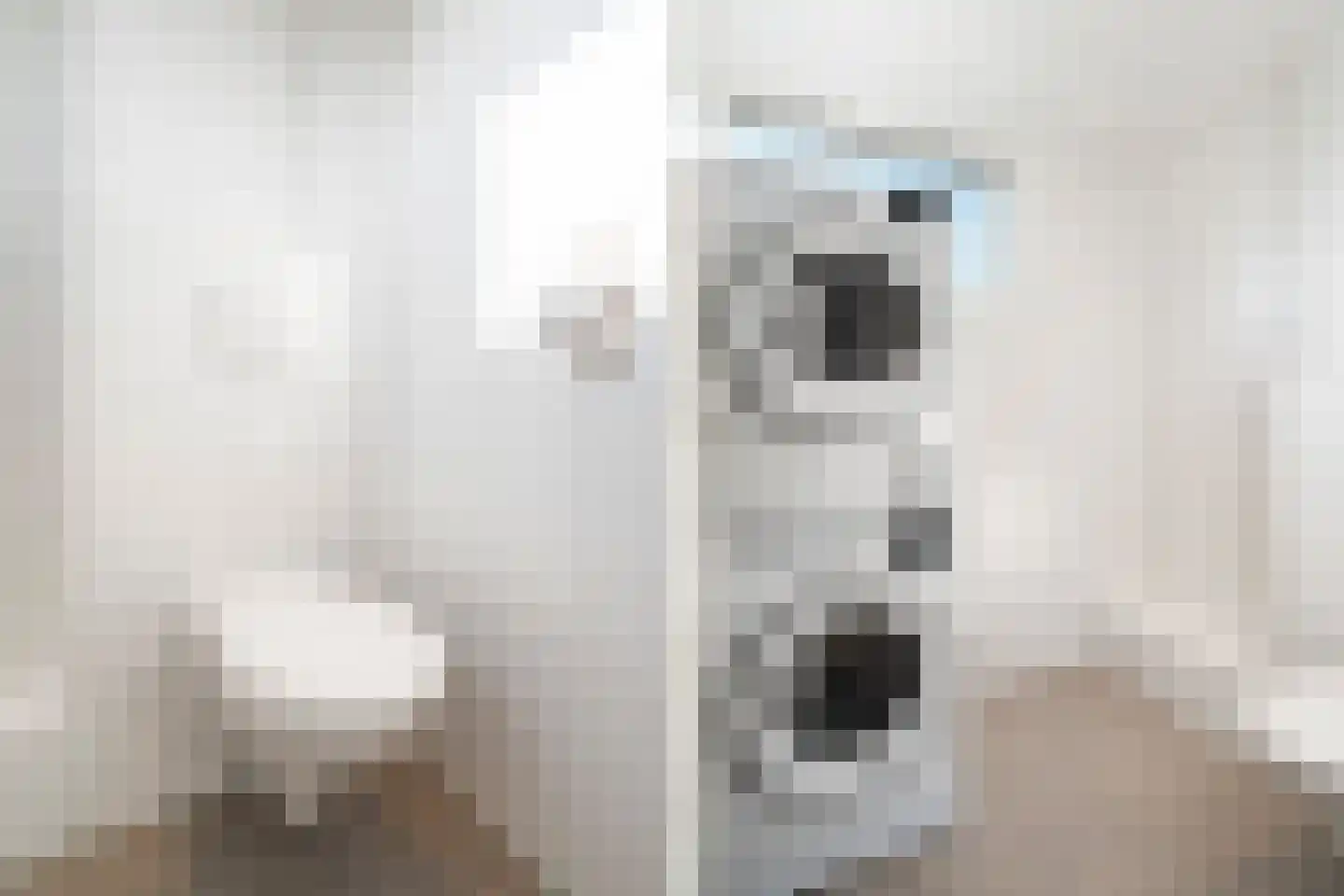 Beijerenstraat 2 Reeuwijk thumbnail 39
