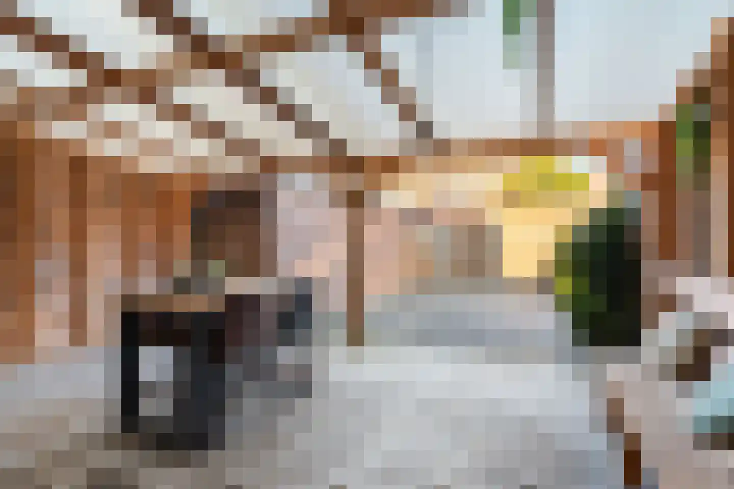 Beijerenstraat 2 Reeuwijk thumbnail 6