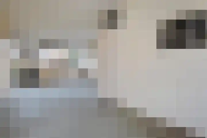 Beijerland 45 Zoetermeer thumbnail 20