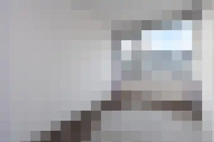 Beijerland 45 Zoetermeer thumbnail 36