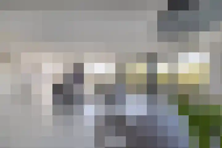 Beijerland 68 Emmeloord thumbnail 17