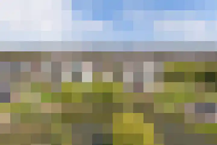 Beijerland 68 Emmeloord thumbnail 38