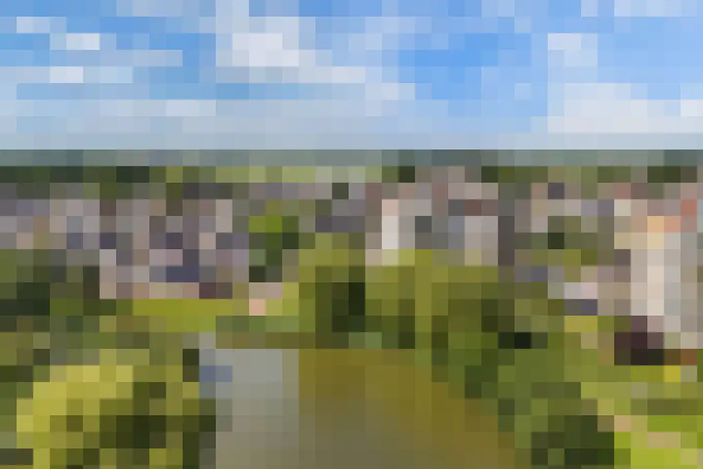 Beijerland 76 Emmeloord thumbnail 13