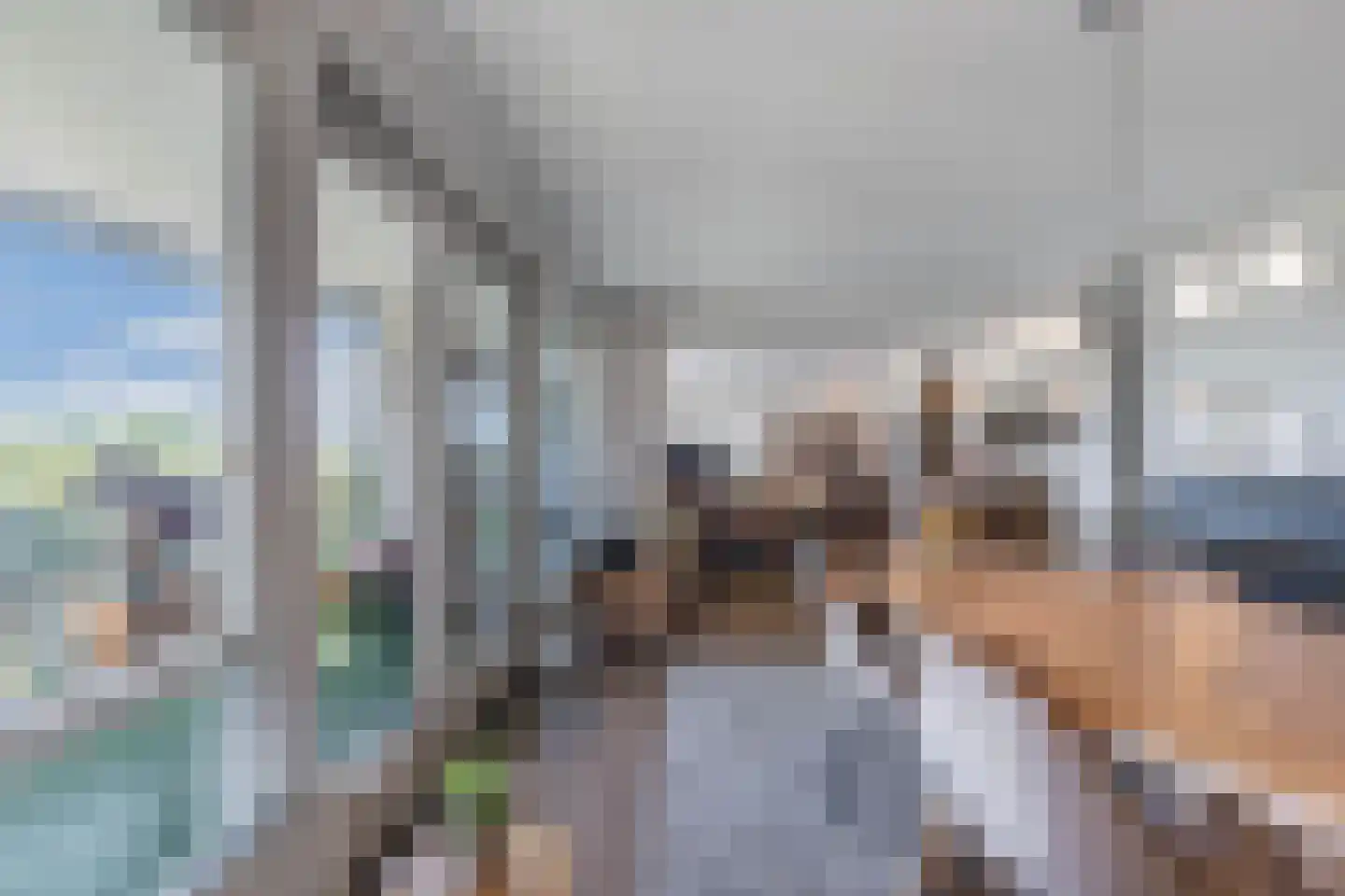 Beijerland 76 Emmeloord thumbnail 30